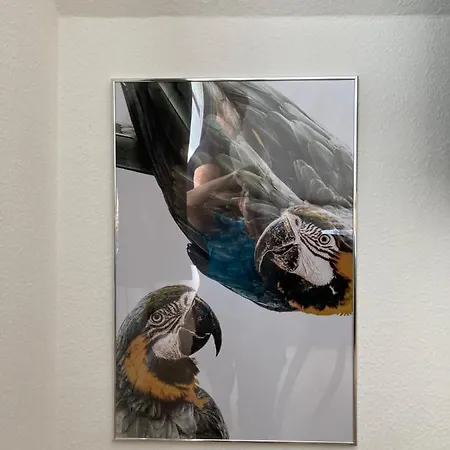 شقة 6 Ara بيرغن أوف روغن